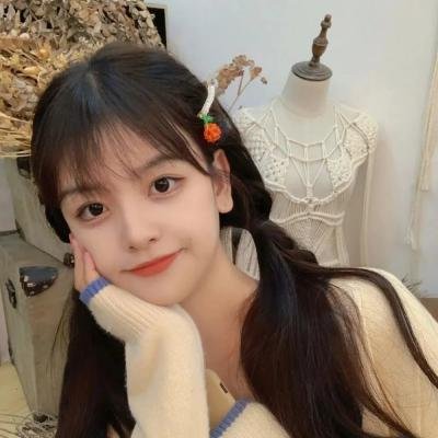 莉莉小姐的超完美日记
